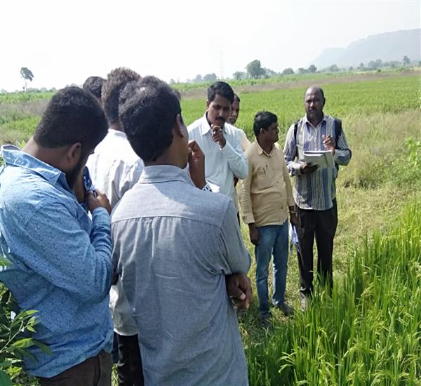 Peddapalli District - Peddapalle Division                                                                                                                                                                                                                  - FIELD TRAINING TO REVENUE STAFF                                                                                                                        - CCE FIELD TRAINING TO REVENUE STAFF, GOWREDDIPETA VILLAGE, PEDDAPALLI MANDAL                                                                                                                                                                                    - dt.04/11/2019          